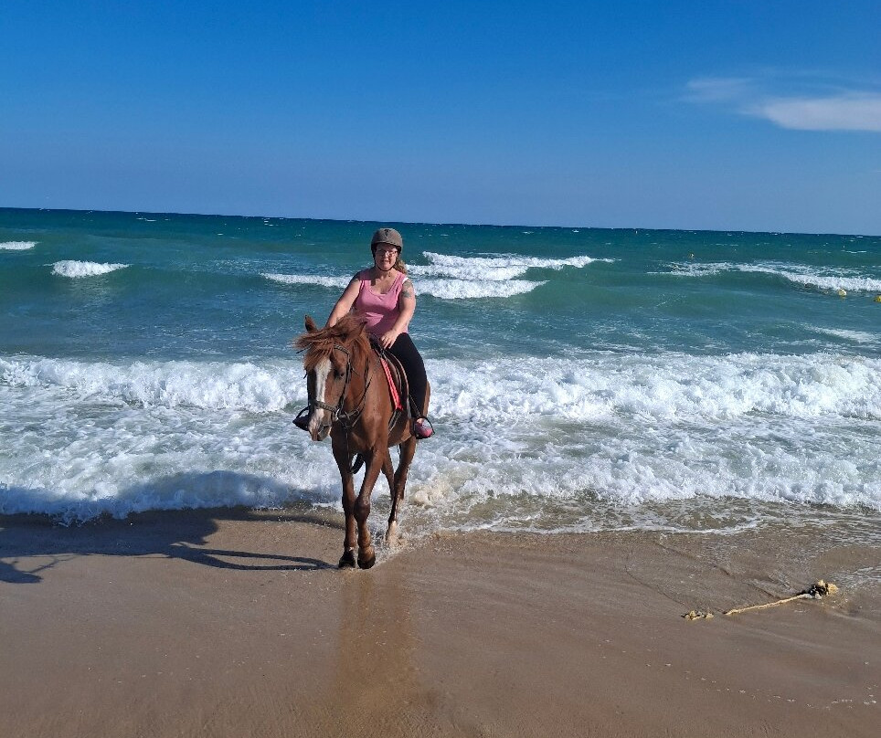 Tekiki Tours-哈玛麦德必去景点