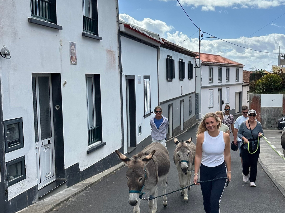 Donkeys & Friends-Agua de Alto必去景点