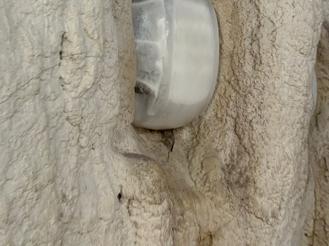 Aquarium Oniria-卡内鲁西永必去景点