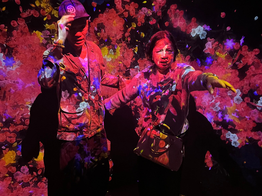 Teamlab Borderless Tokyo Azabudai Hills-港区必去景点