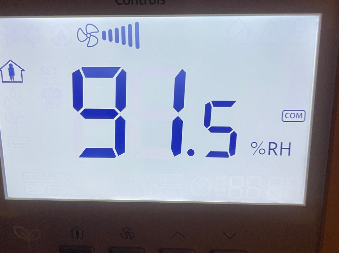 Ocean Coral Spring主图