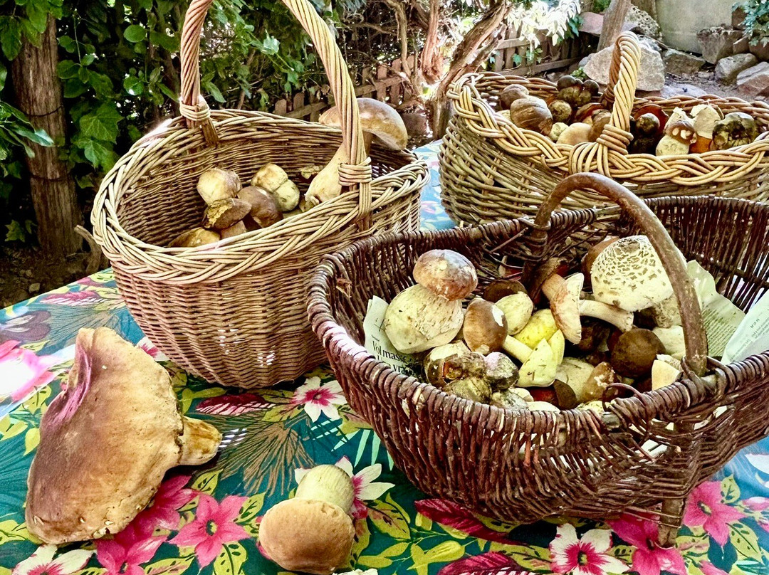 Quinte Et Sens主图