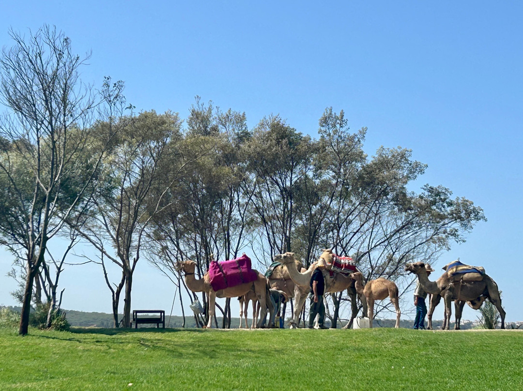 Bachir & Freres Tours-非斯必去景点