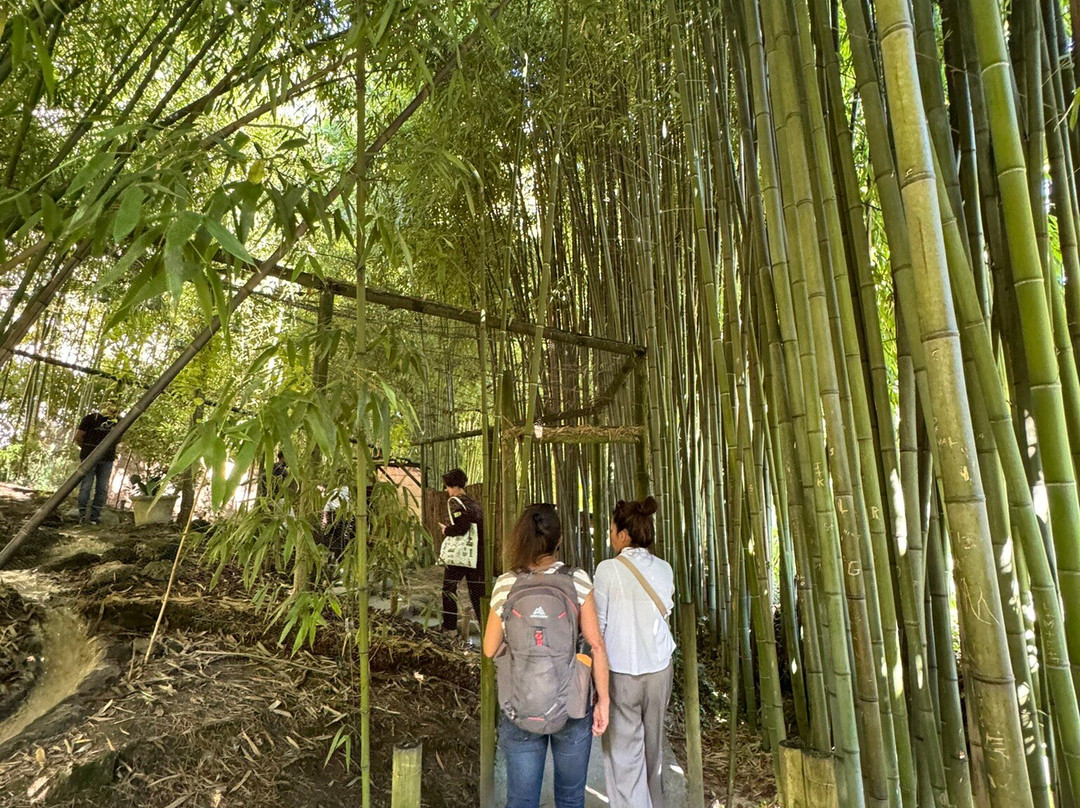 Jardin Des Fontaines Pétrifiantes-La Sone必去景点