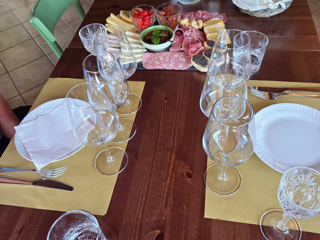 Into The Vineyard-温哥华必去景点