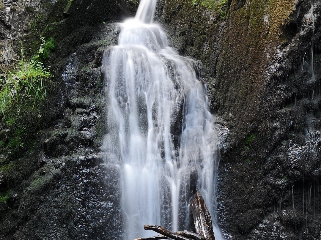 Forsakar Nature Reserve-Degeberga必去景点