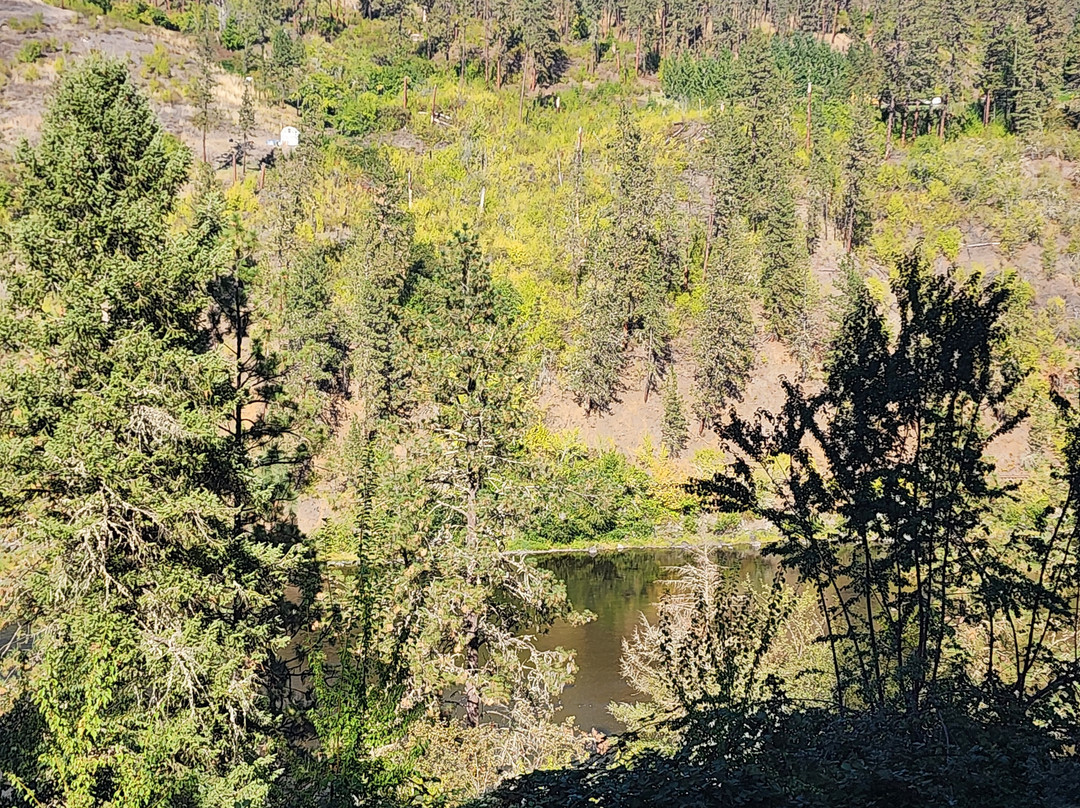 Hearthstone Elegant Lodge主图