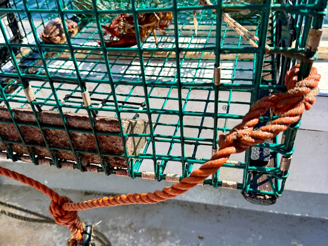 Acadia Lobster Cruise-Southwest Harbor必去景点