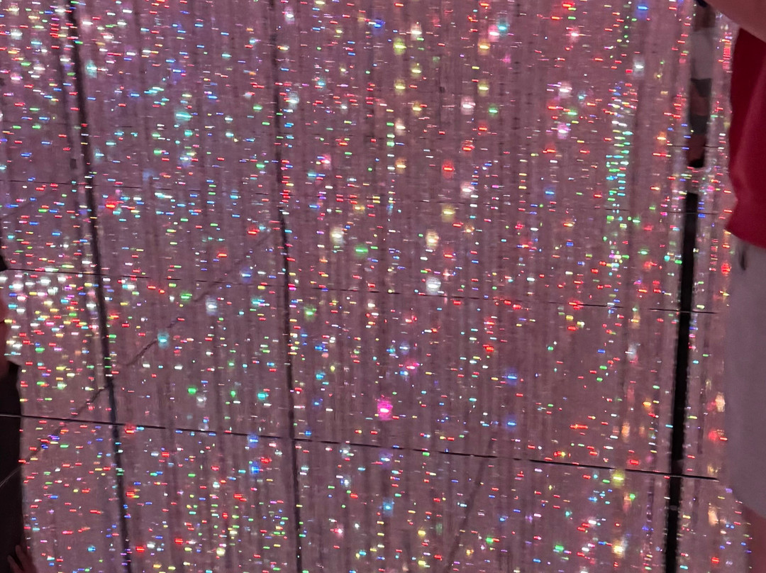 teamLab Planets TOKYO-Toyosu必去景点