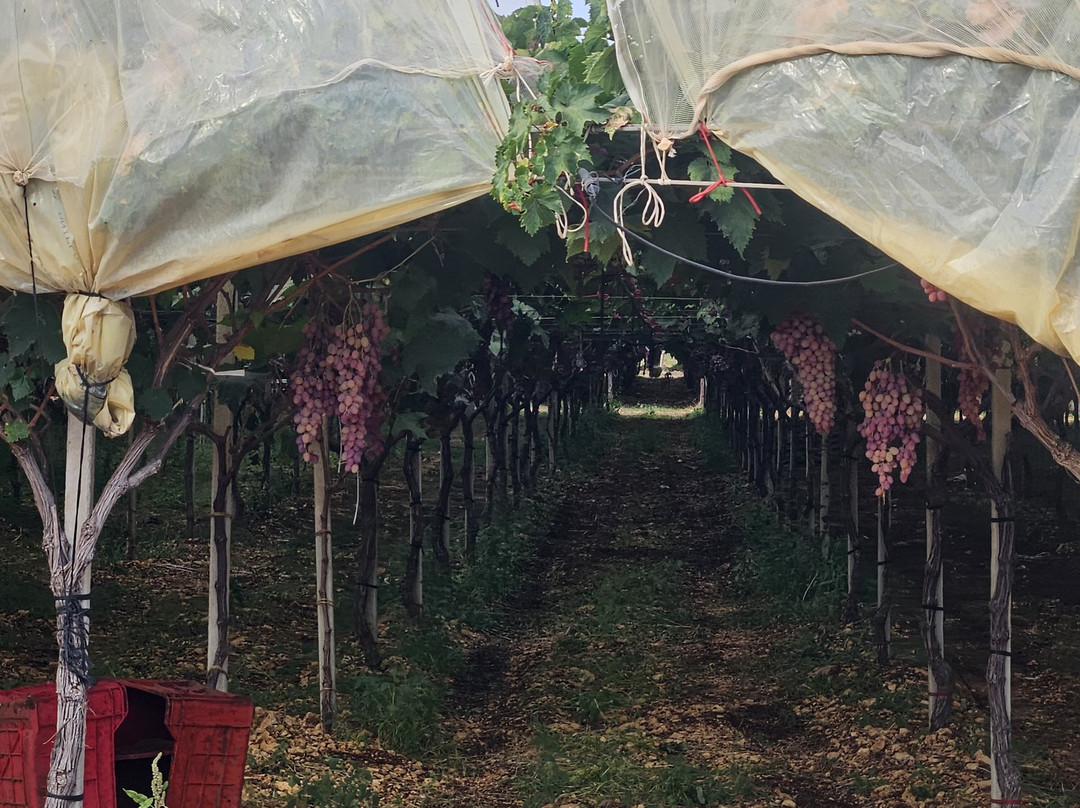 假日公寓酒店主图