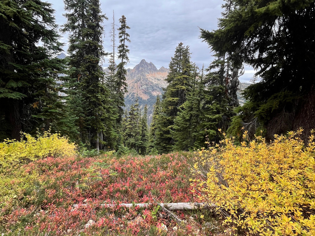 Blue Lake Trail-North Cascades National Park必去景点