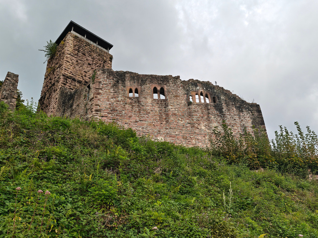 Hinterburg-Neckarsteinach必去景点