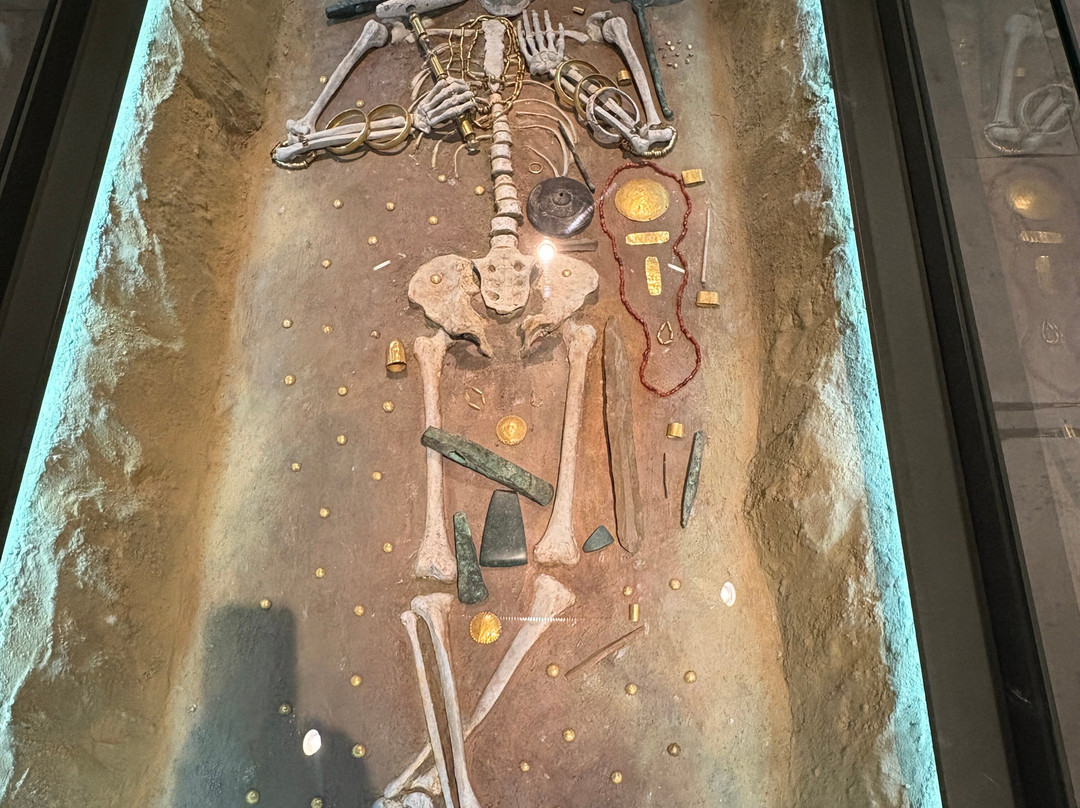 Archelogical museum-瓦尔纳必去景点