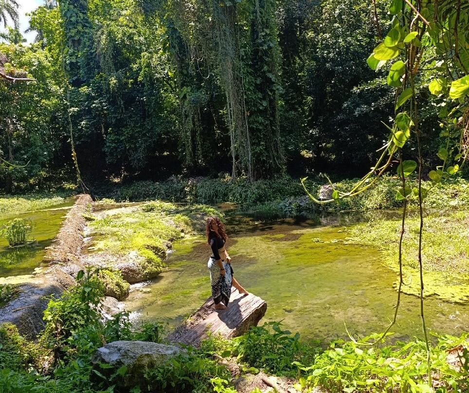 Jardines de Hershey-Jibacoa必去景点