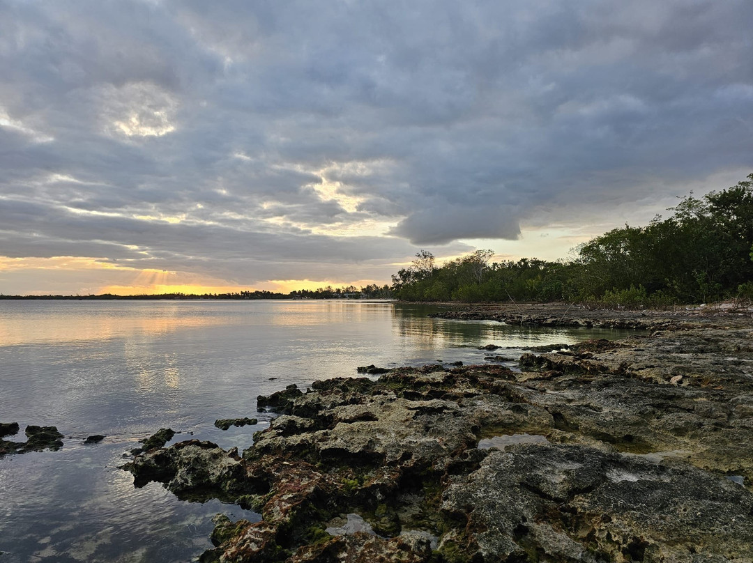 Playa Larga-Playa Larga必去景点