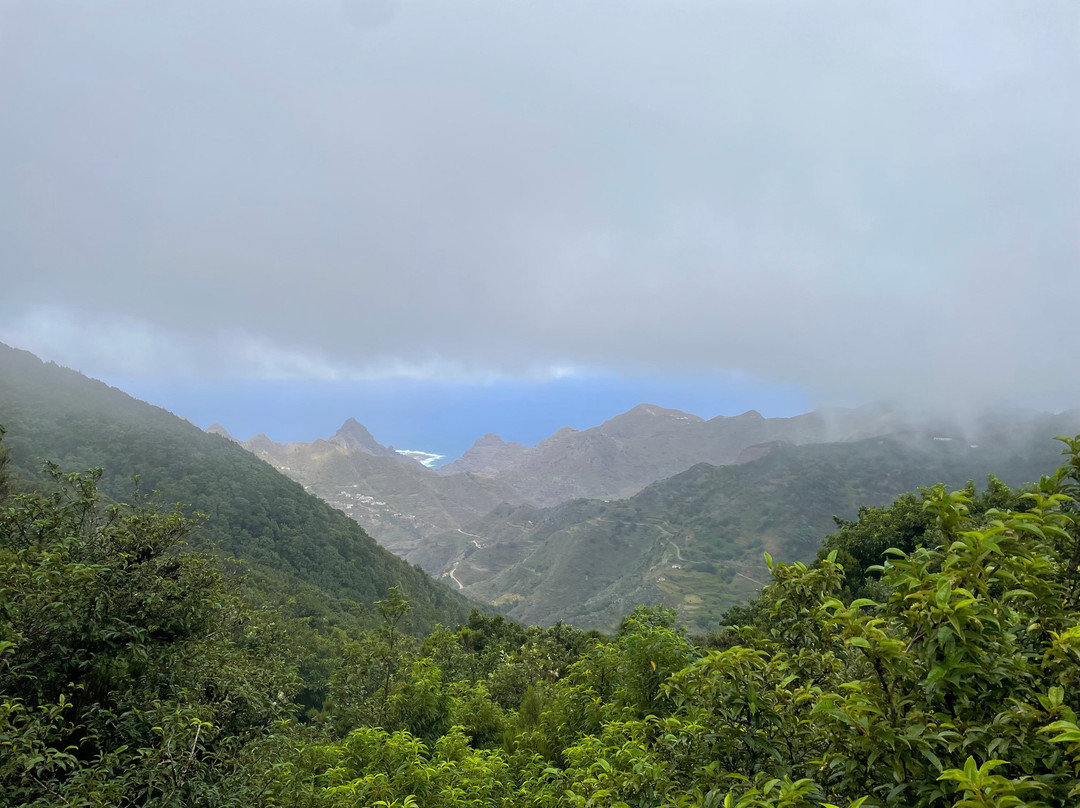 Mirador Cruz del Carmen-拉古纳的圣克里斯托波尔城必去景点