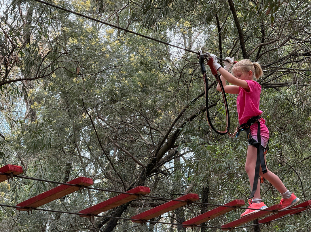 Acrobranch Garsfontein-Tierpoort必去景点