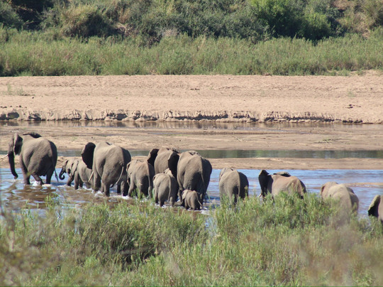 The Safari Beyond-尼斯普鲁特必去景点