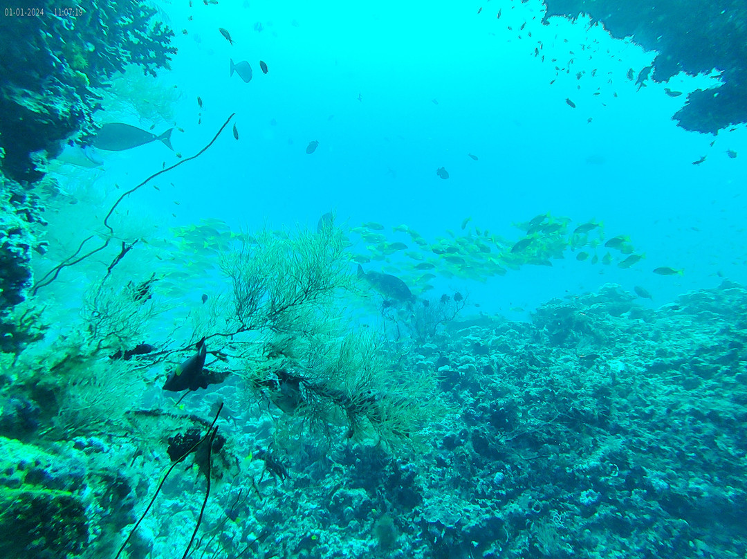 Himmafushi Scuba Adventure-Himmafushi Island必去景点