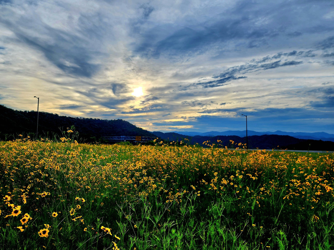 I-26 West NC Welcome Center-Mars Hill必去景点