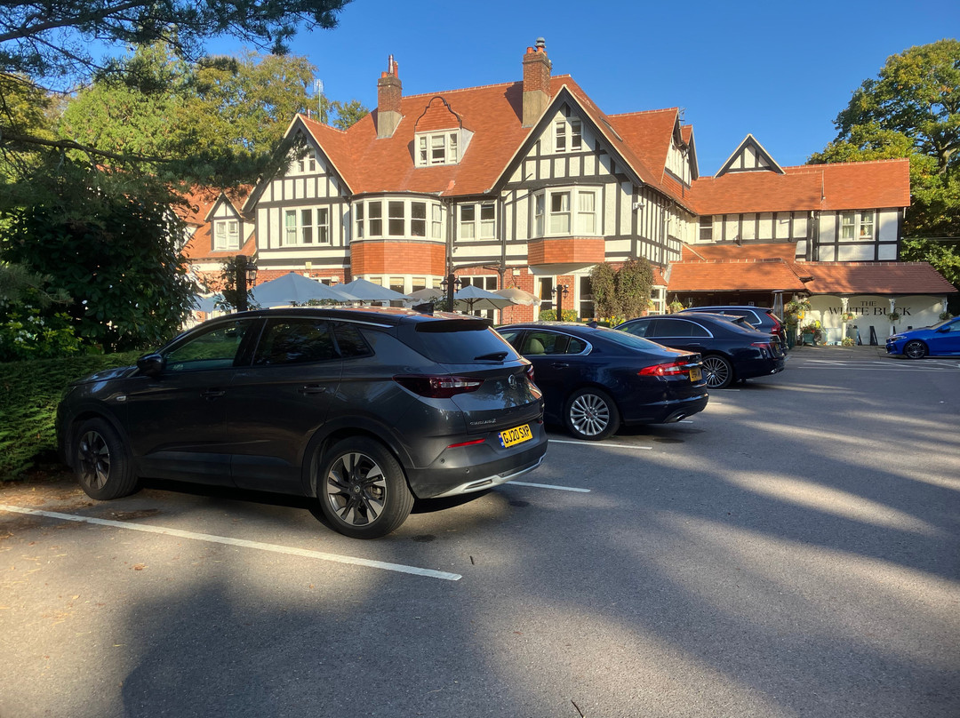 富勒白鹿酒店主图