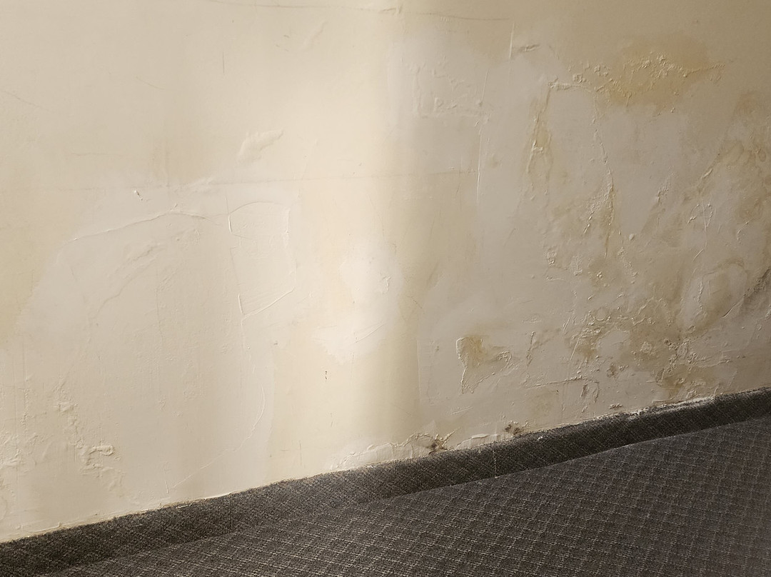 Hotel Carlos V主图