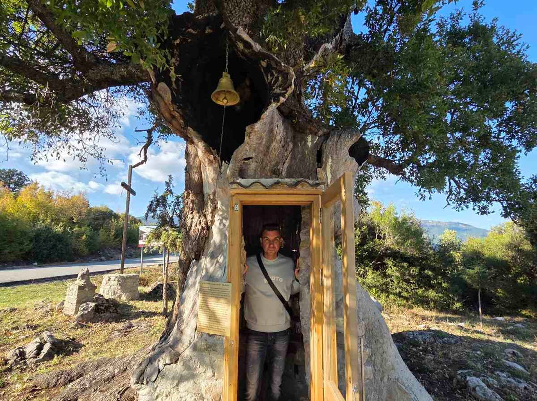 Tree Chapel Saint Paissiou-Agia Varvara必去景点
