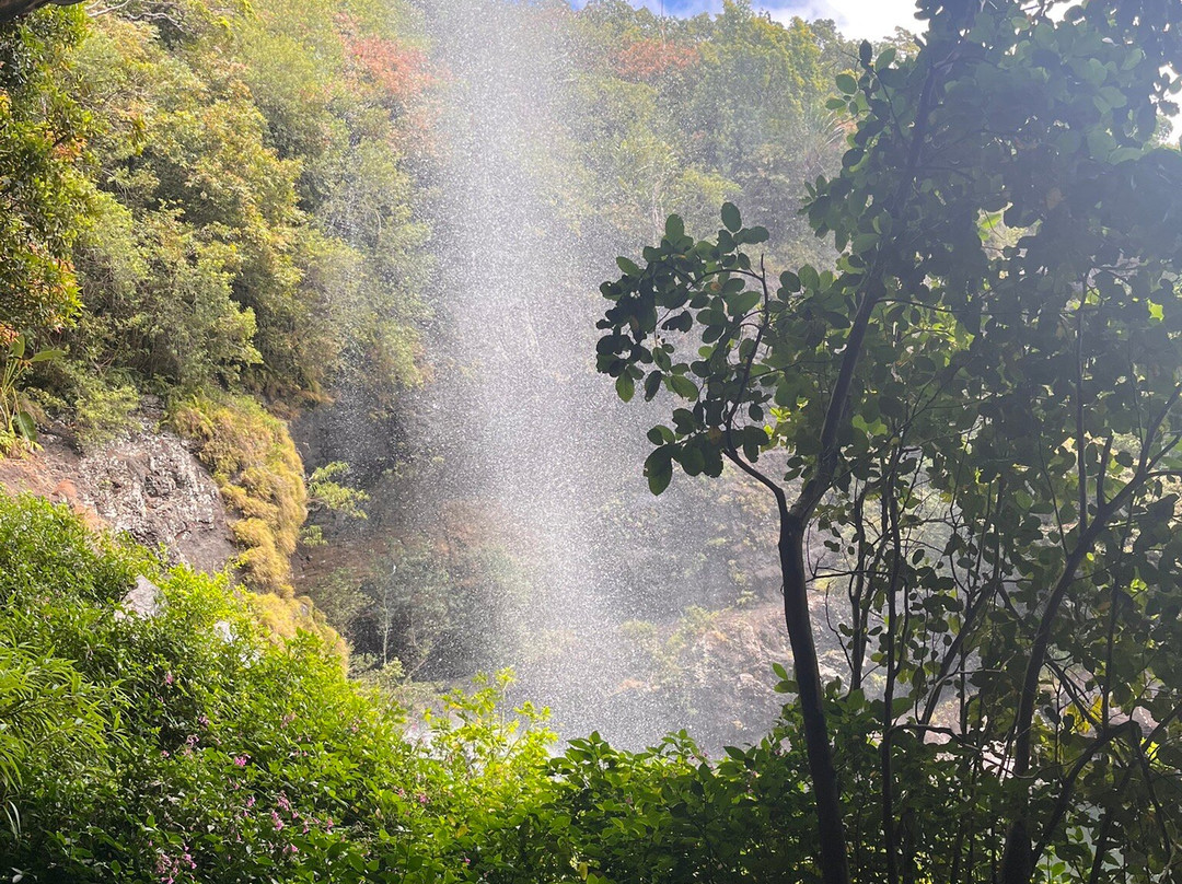 Tamarind Falls-Vacoas-Phoenix必去景点