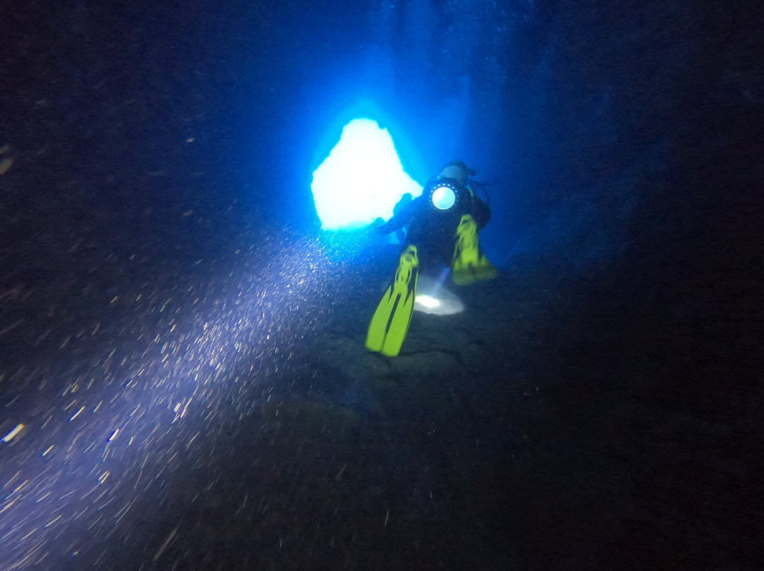 Blue Adventures Diving-干尼亚必去景点