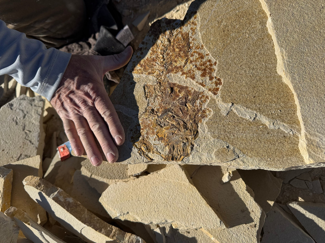 Fossil Lake Safari By Fossilera Adventures-Kemmerer必去景点