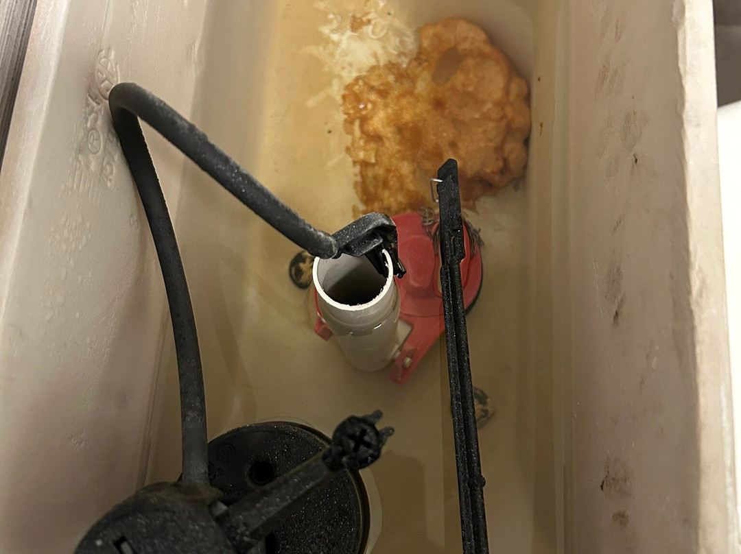 Courtyard by Marriott St. Louis Westport Plaza主图