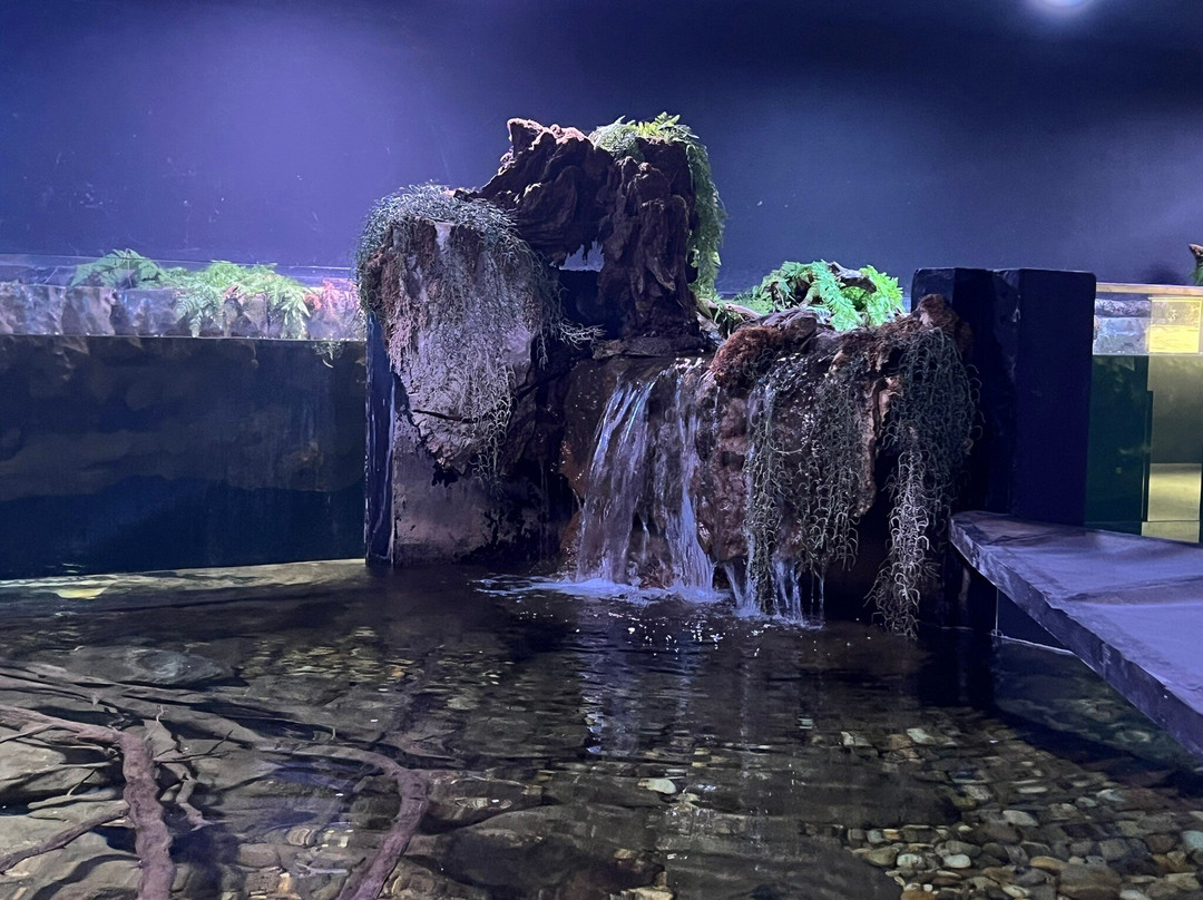 Aquatika - Slatkovodni Akvarij Karlovac-卡洛瓦克必去景点