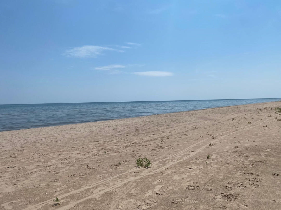 Point Beach State Forest-Two Rivers必去景点