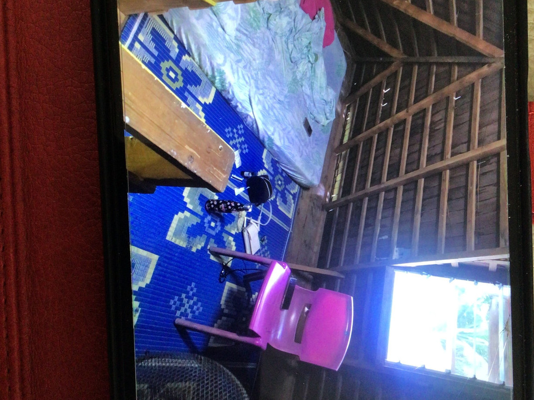 Pension Ariitere主图