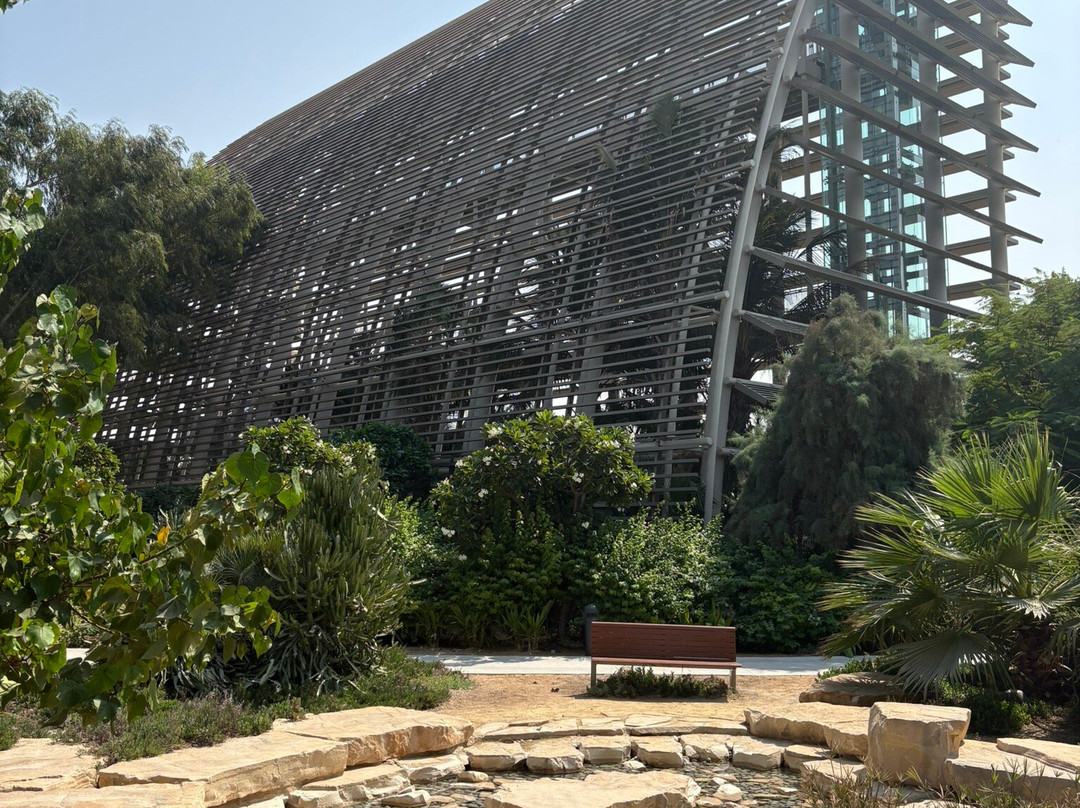 穆什里夫中央公园-阿布扎比必去景点