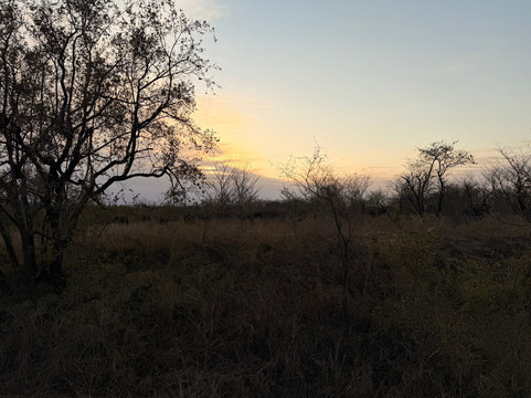 Bushbaby Tours And Transfers-霍德斯普鲁特必去景点