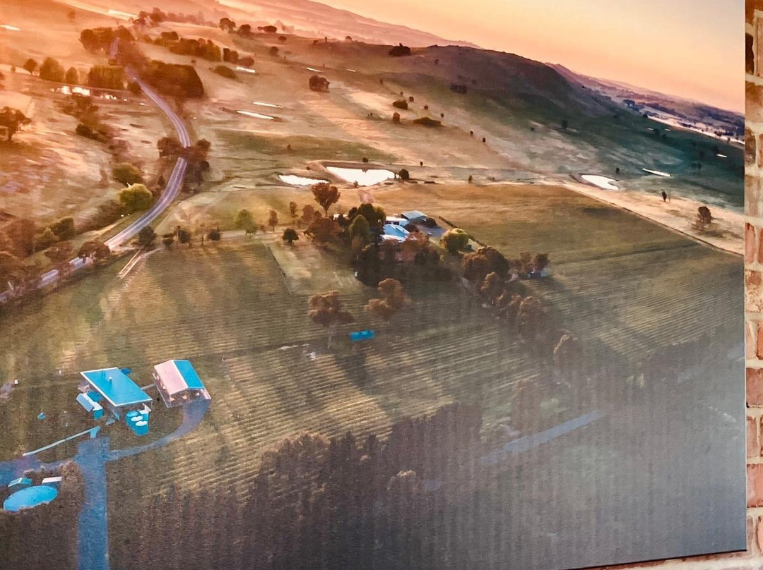 Four Winds Vineyard-穆任百特曼必去景点