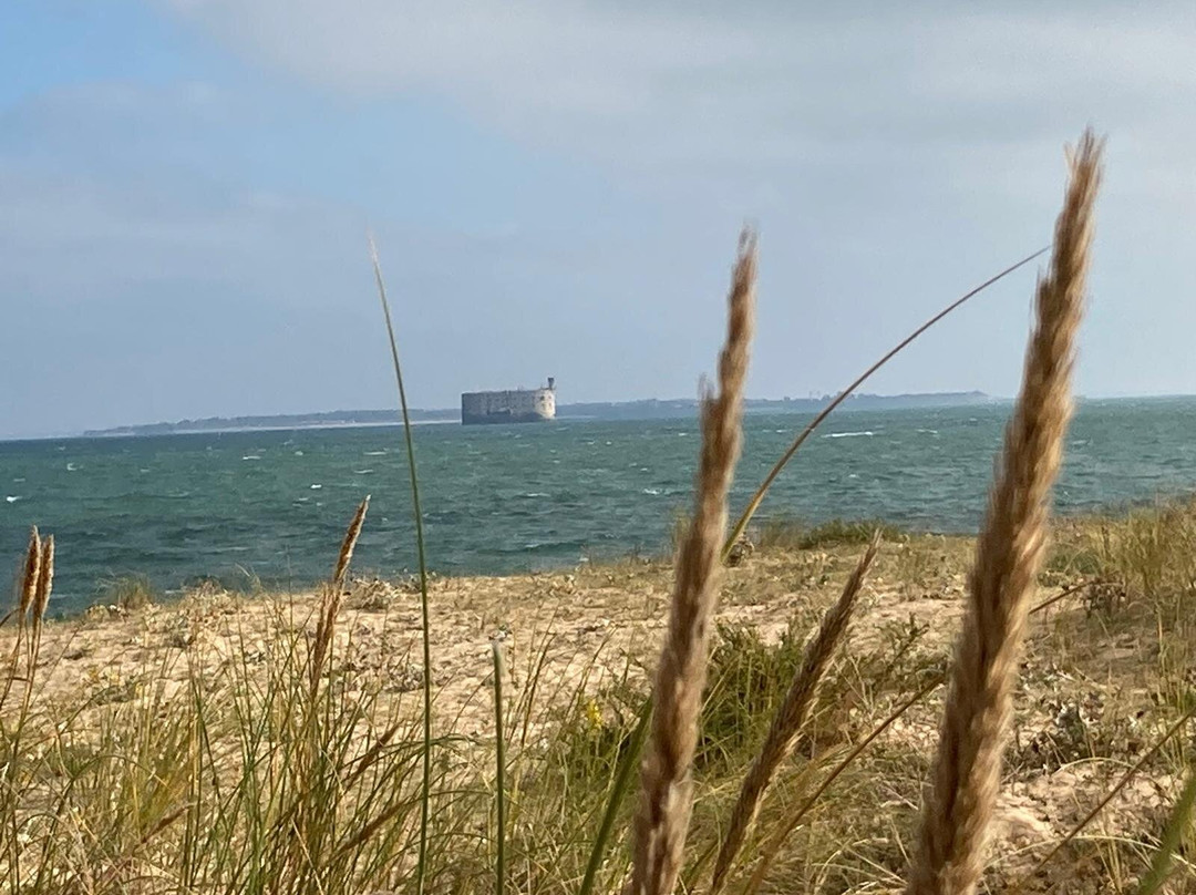 Village Vacances Charente-Maritime - Azureva Ronce-les-Bains主图