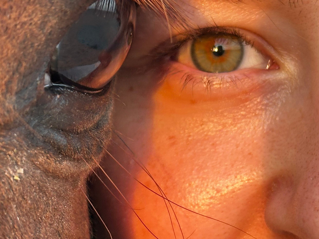 Horse Trips Iryna-赫尔格达必去景点