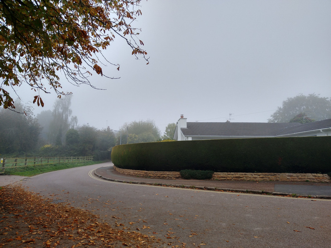 Attenborough Nature Centre-Attenborough必去景点