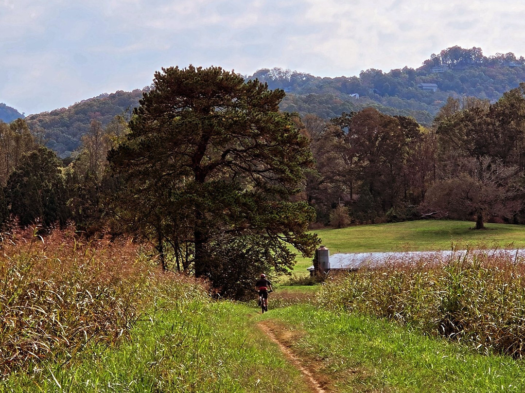 Jackrabbit Mountain Bike & Hiking Trails-Hayesville必去景点