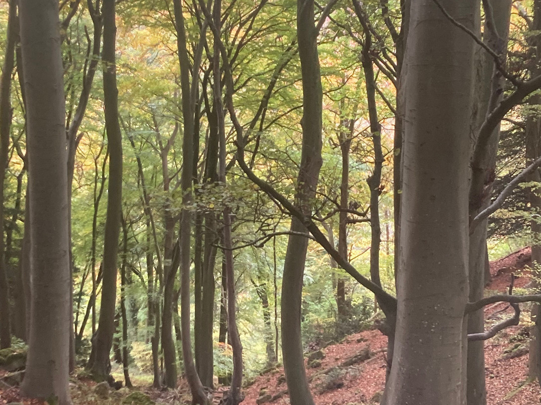 King Arthur's Cave-Symonds Yat必去景点
