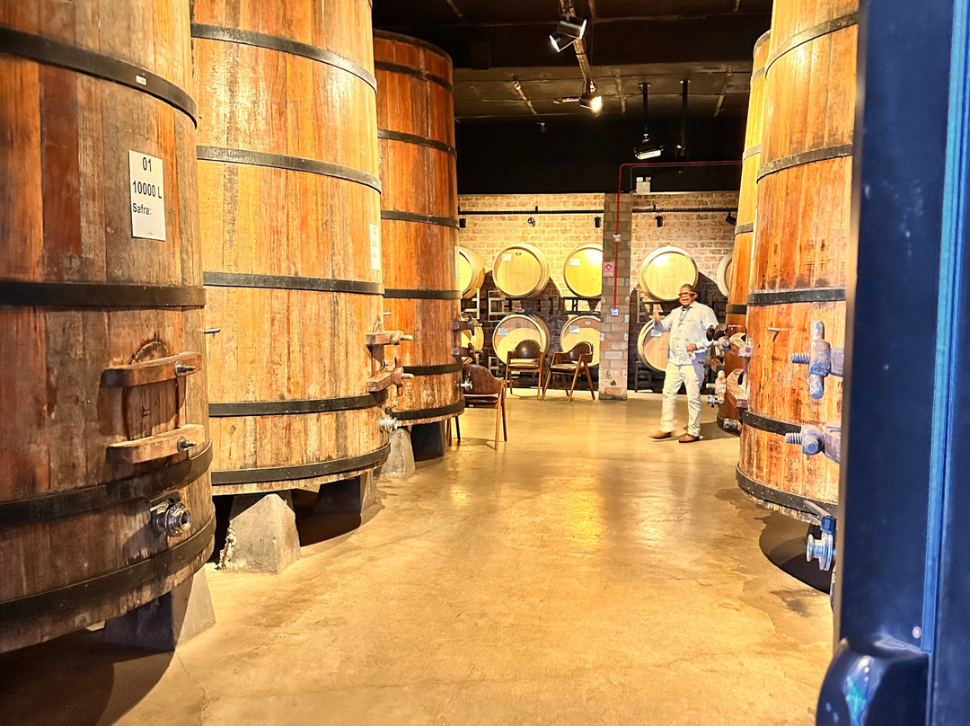 Vitivinicola Jolimont-卡内拉必去景点