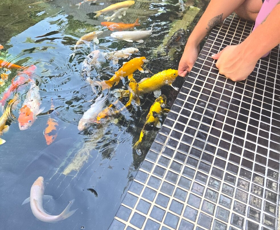 Ocean Aquarium-普它肋斯必去景点