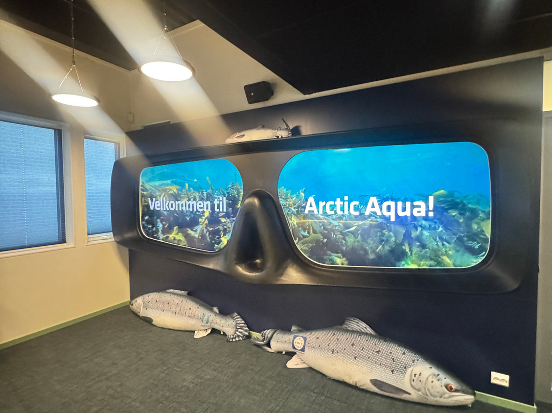 Arctic Aqua-Engenes必去景点