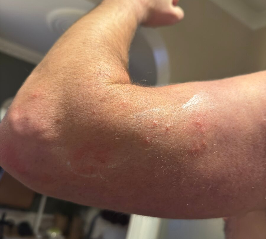 Brunnholl Country Guesthouse主图