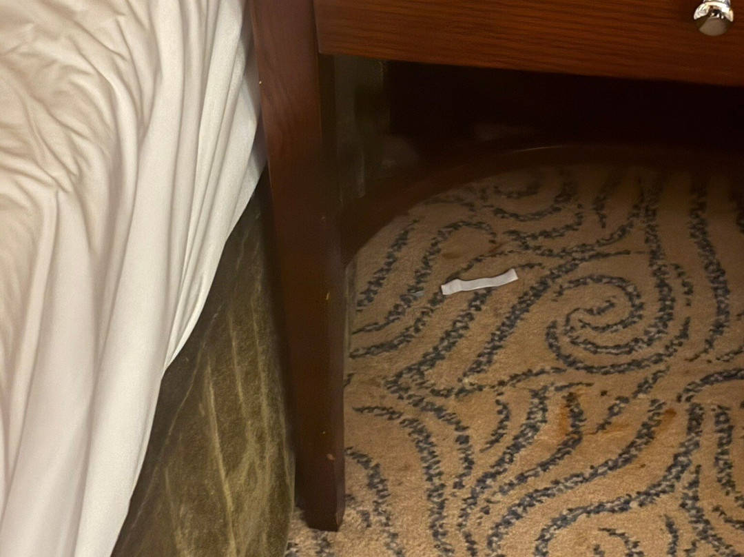 富查伊拉湾星期天主图