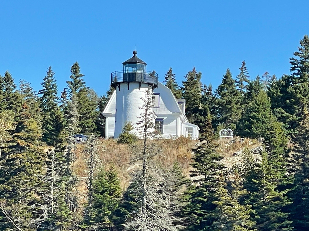 Acadian Boat Tours-巴港必去景点