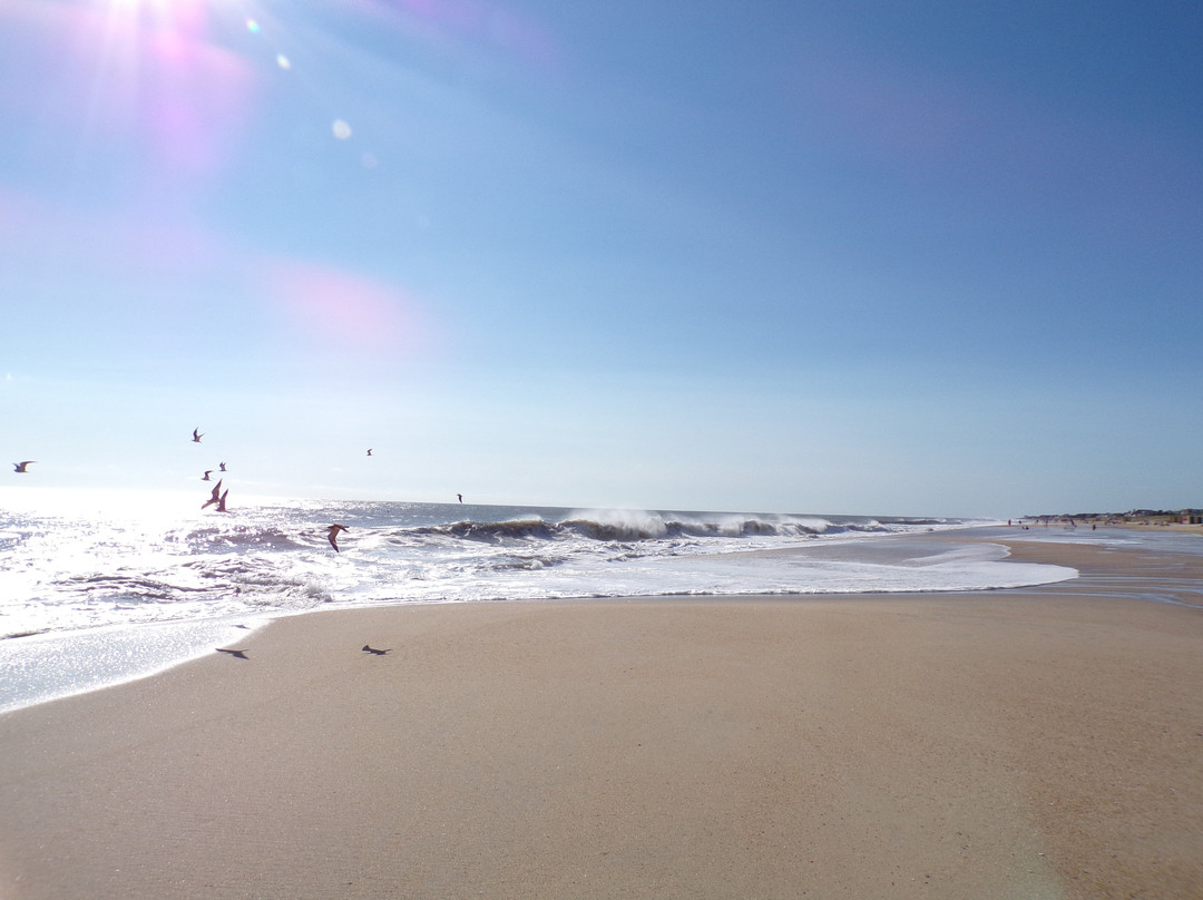 Avenue Inn & Spa主图