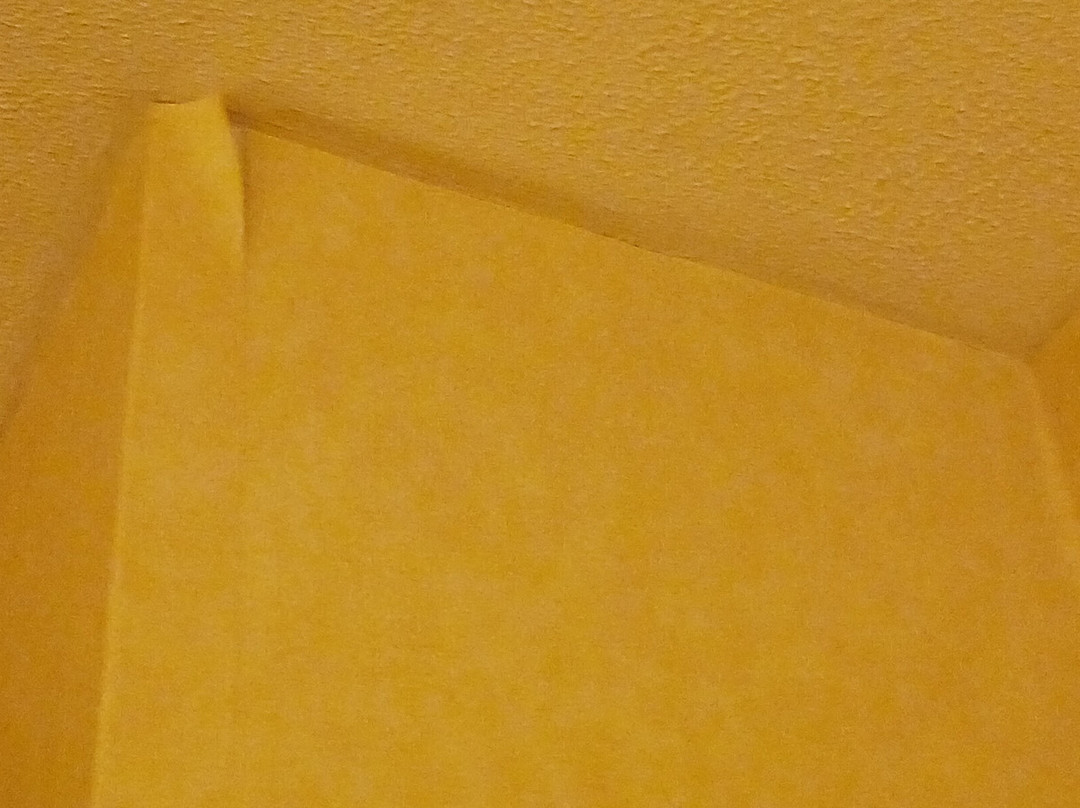 Best Western Plus Revere Inn & Suites主图